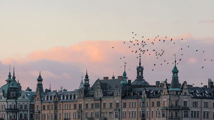 Fotograf: Mårten Björk