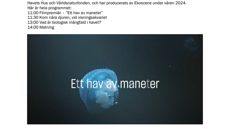 240522_Internationella dagen för biologisk mångfald på Havets Hus.pdf