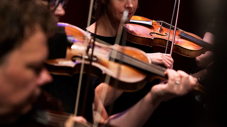Concerto Copenhagen_Kredit Jonas Fogh_3.jpg
