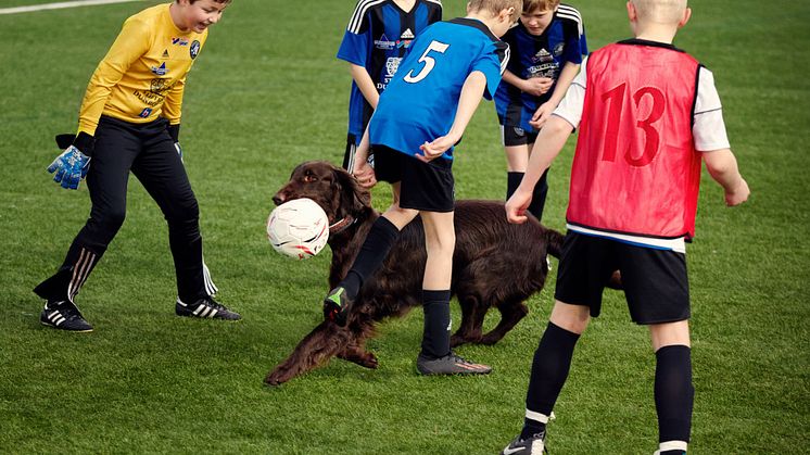 intersport_sommar_5.jpg