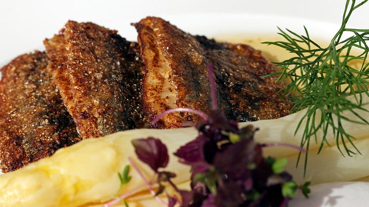 Stekt strömming med vit sparris