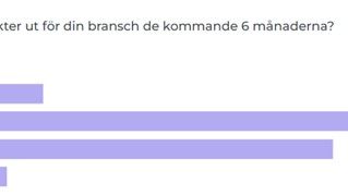 Framtidsutsikter för resp bransch.jpg