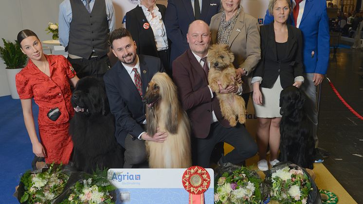 AGRIA_VINSTRIKASTE_2024.jpg