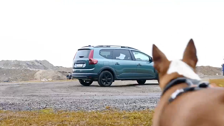 Dacia Jogger på Muddy Paws K9 Biathlon