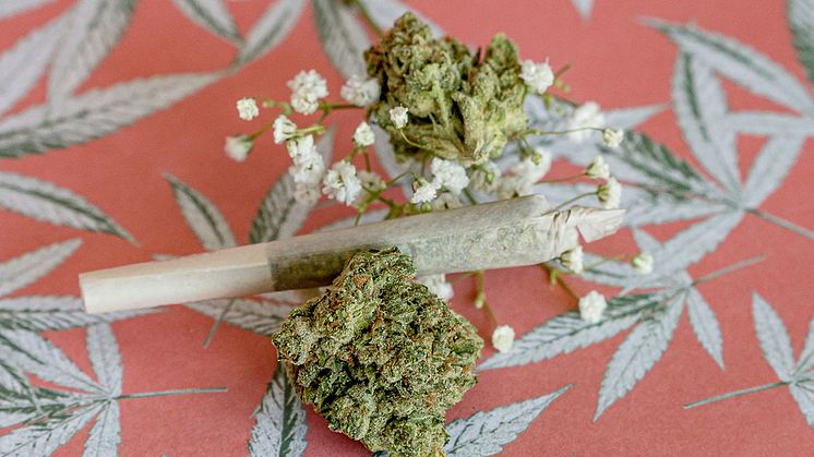 Nach der Legalisierung von Cannabis werden klare Regeln für den Straßenverkehr benötigt. Foto: Sydney Ireland/unsplash.com 