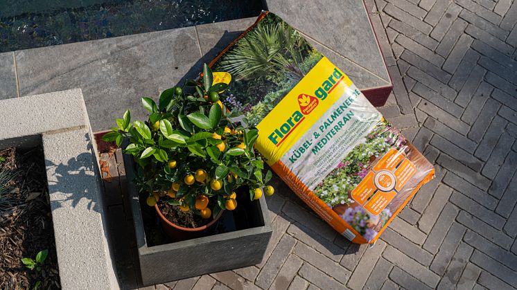 Floragard_Kübel- und Palmenerde mediterran 1.jpg