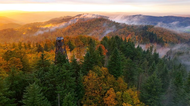 Ebersnackenturm im Herbst (c) CC BY Marc Sprödefeld.JPG