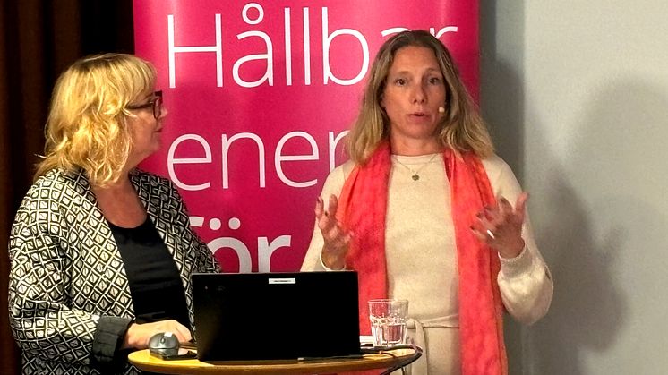 Seminarium Åsa Pettersson.jpg