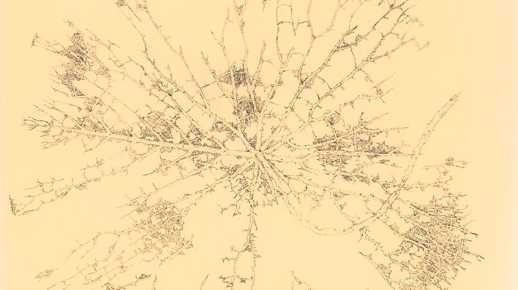 Roland Persson – Nymphaeaceae