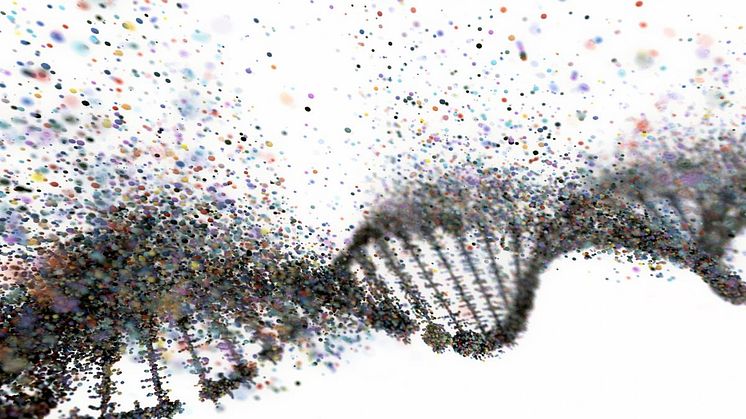 Erbkrankheit Lipödem: Welche Rolle spielt die Genetik? Foto: iStock / ktsimage