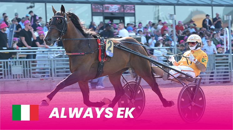 Always Ek_1920x1080.jpg