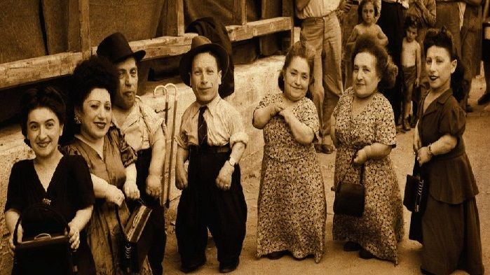 the-seven-dwarfs-of-auschwitz-120643l.jpg