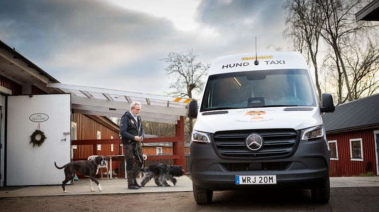 eSprinter Hundtaxi
