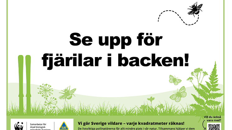 Fjärilar i backen.png