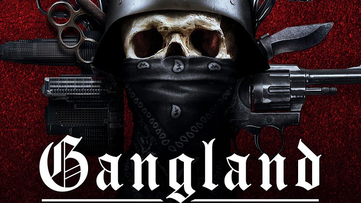 Gangland_Chronicles_2400x3600_TT.jpg