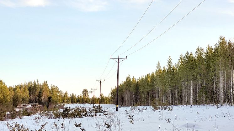 Ny kraftledning mellan Sjulnäs och Hortlax – ett av Piteås viktigaste infrastrukturprojekt