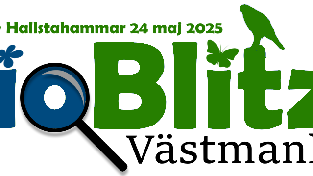 BioBlitz5_2025_transp_bg.png