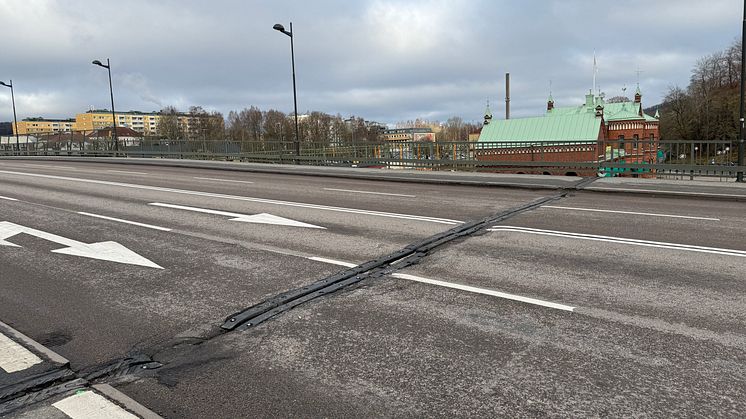 Broskarvar på Centralbron1.jpeg