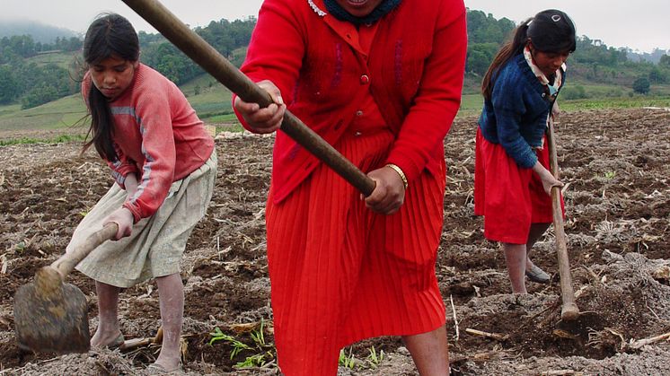 Bondekvinnor i Honduras 