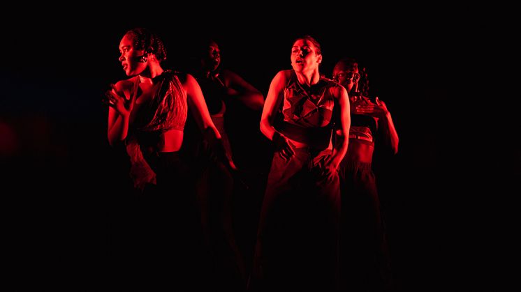 Company Nicolas Huchard - The barefoot diva