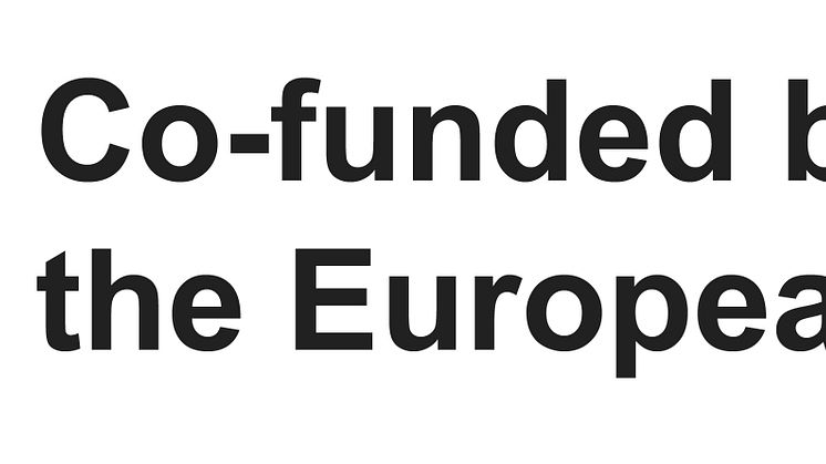 EN Co-funded by the EU_BLACK.jpg