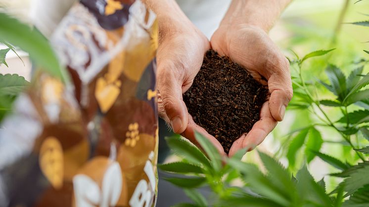 Herbi Living Soil.jpg