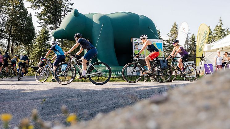 Gravel-Camp-Erzgebirge-2024©lifeCYCLEmedia-Martin-Donat-420.jpg