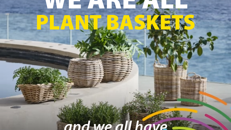 Plant baskets - EU Diversity Month 2024.png