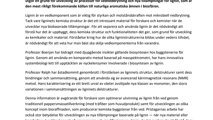 MWP 2024 Press release announcement SWEDISH.pdf