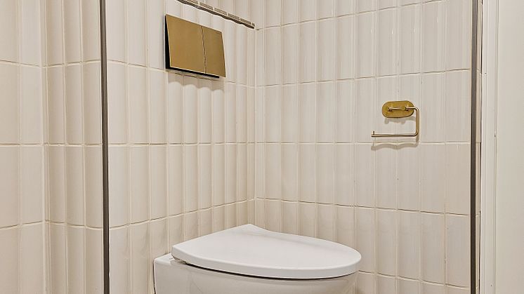 IDO GlowArt Turboflush -seinä-wc-istuin ja Geberit Sigma70 -huuhtelupainike.jpg