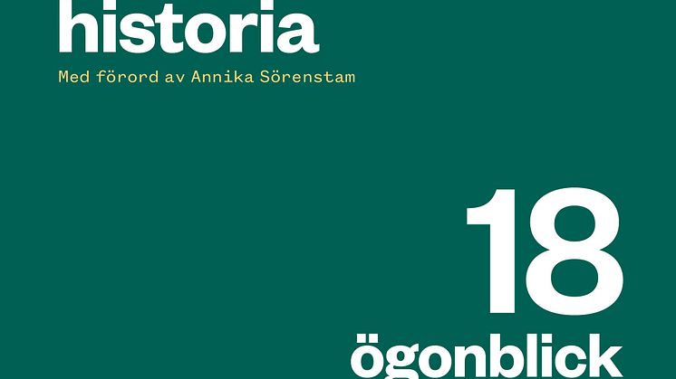 18 ögonblick som skapade det svenska golfundret omslag