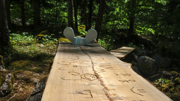 Detaljspångmedbomärken.jpg