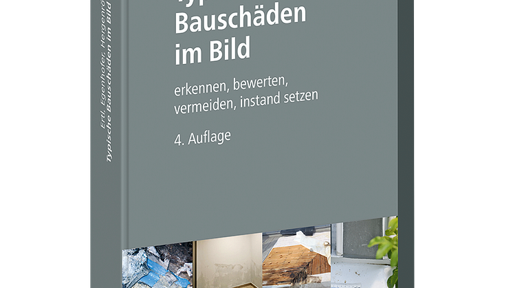 Typische Bauschäden im Bild, 4. Auflage (3D/png) 