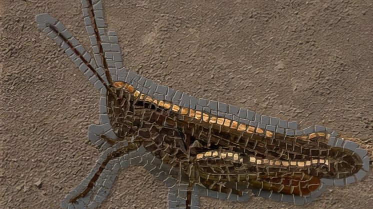 mosaik.jpg