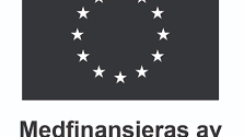 EU logo.png