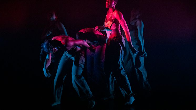 Company Nicolas Huchard - The barefoot diva
