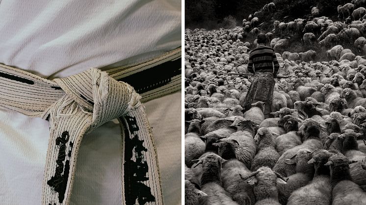 Ett karatebälte som slits med tid och träning. Fåraherdars arbete och vardag i Tusheti, Georgien. Två bildberättelser som prisas i årets Dokfotosalong på Arbetets museum. Foto: Jennie Dahlén och Maurice Wolf.