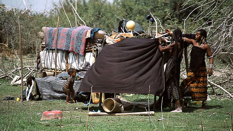 Fulani camp in Niger