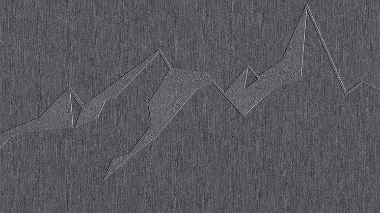 Swisspearl-Patina-NXT-Signature_Surface-1_1080x1080px.jpg
