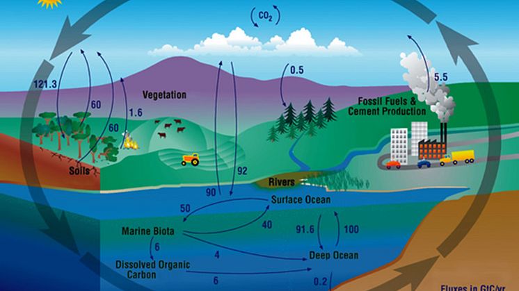 Carbon cycle.jpg