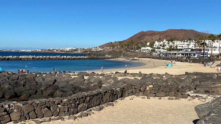 Lanzarotes vattentemperatur lockar badkrukan