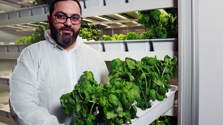 Nawras Alashour är utvecklingschef på startupsbolaget BlåGrön Odling.