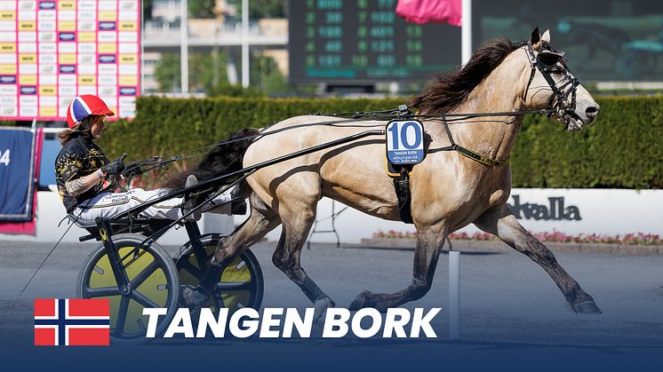 tangen Bork_1920x1080.jpg