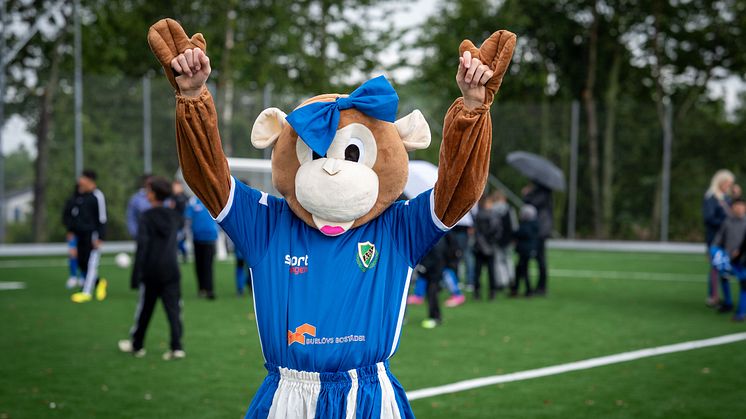 Konstgräsplan Arlövs IP 25.jpg