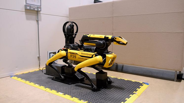 Rover Robot Dog