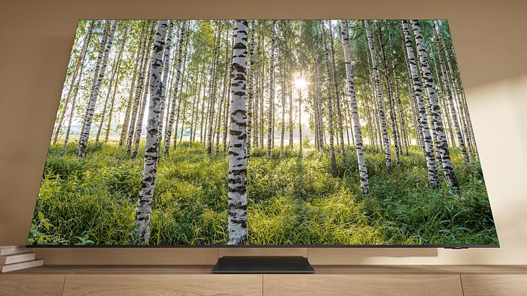 Samsung_NeoQled QN900D_2024_fromBelow.jpg
