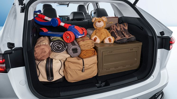 Trunk&Props-3.jpg