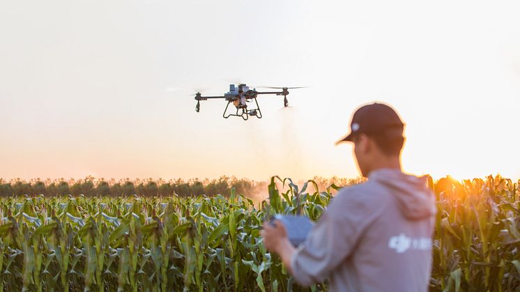 DJI T25-4.jpg