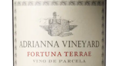 Catena Adrianna Vineyard Fortuna Terrae Malbec 2021.png