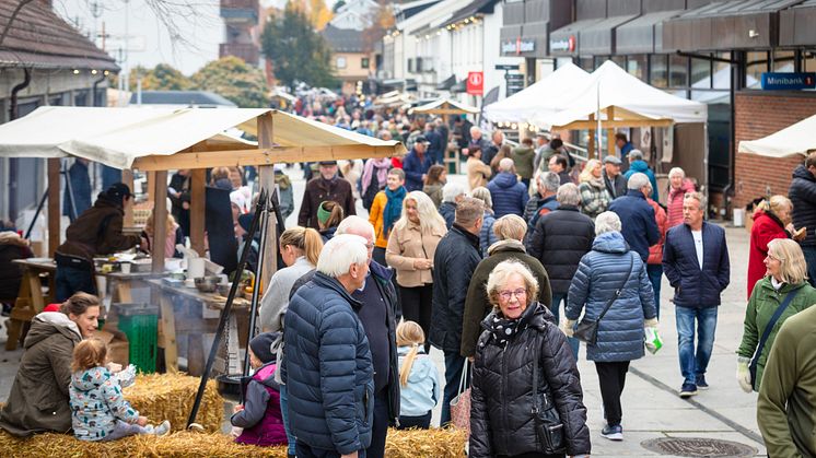 Matmarked og lavvo Matlyst  FOTO Ringsaker kommune_3 (1).JPG